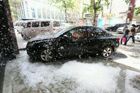 春天纷飞的柳杨絮会对汽车有哪些危害,以及我们需要做哪些防护工作